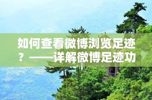 如何查看微博浏览足迹?——详解微博足迹功能 如何查看微博浏览足迹?——详解微博足迹功能