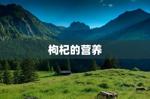 枸杞的营养：构建健康的身体
