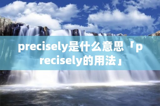 precisely是什么意思「precisely的用法」