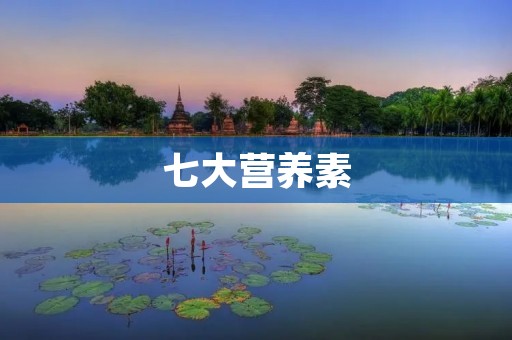 七大营养素：人体必需的营养成分