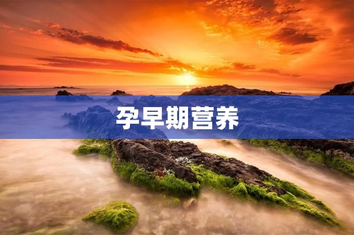 孕早期营养：怀孕前和怀孕初期的饮食指南