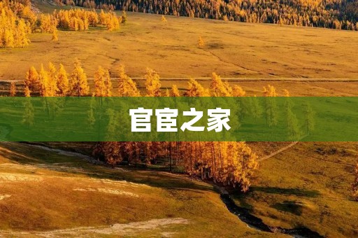 官宦之家:权势与荣耀的象征 官宦之家:权势与荣耀的象征
