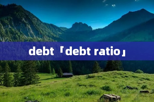 debt「debt ratio」 debt「debt ratio」