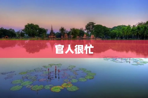 官人很忙:揭秘现代都市男性的生存状态 官人很忙:揭秘现代都市男性的生存状态