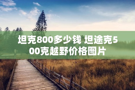 坦克800多少钱 坦途克500克越野价格图片