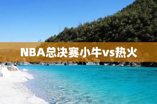 NBA总决赛小牛vs热火：巅峰对决的全记录