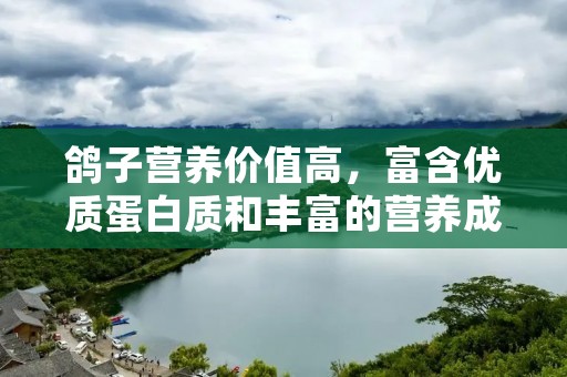 鸽子营养价值高,富含优质蛋白质和丰富的营养成分 鸽子营养价值高,富含优质蛋白质和丰富的营养成分