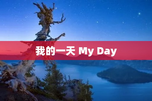 我的一天 My Day