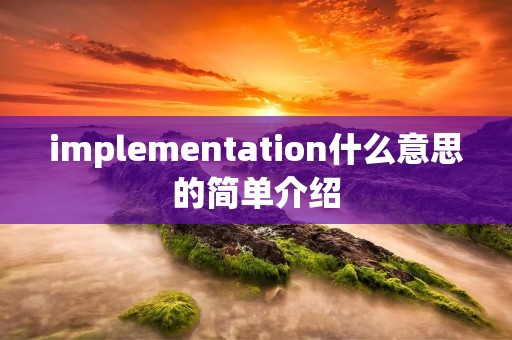 implementation什么意思的简单介绍