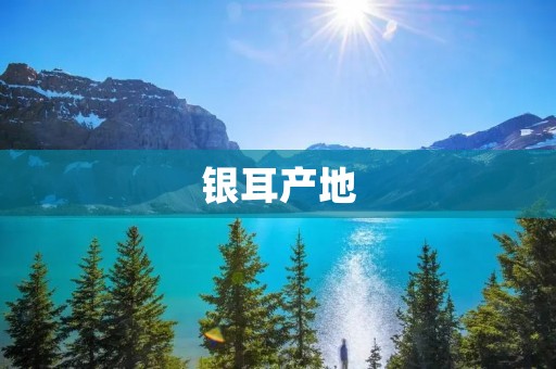 银耳产地:探访银耳的生长环境与特点 银耳产地:探访银耳的生长环境与特点