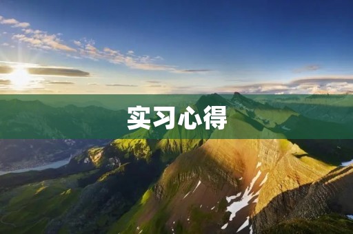 实习心得:在实习中收获的成长与体验