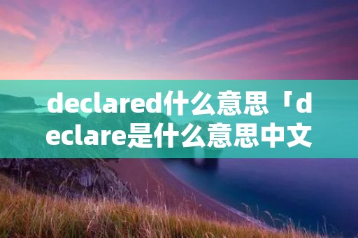 declared什么意思「declare是什么意思中文意思」