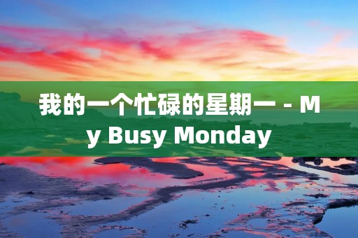 我的一个忙碌的星期一 - My Busy Monday