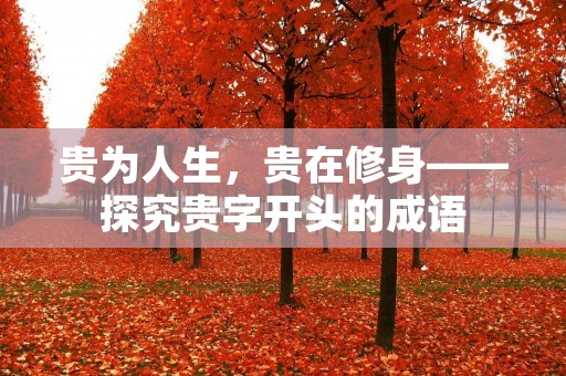 贵为人生，贵在修身——探究贵字开头的成语