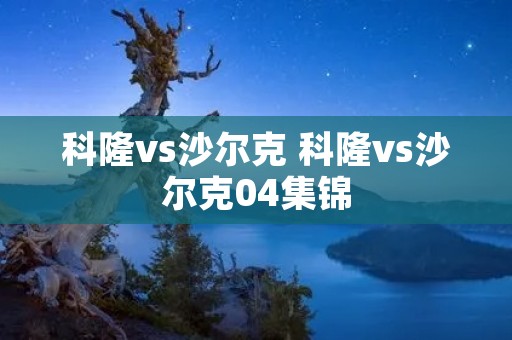 科隆vs沙尔克 科隆vs沙尔克04集锦