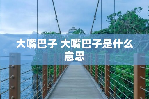 大嘴巴子 大嘴巴子是什么意思 大嘴巴子 大嘴巴子是什么意思