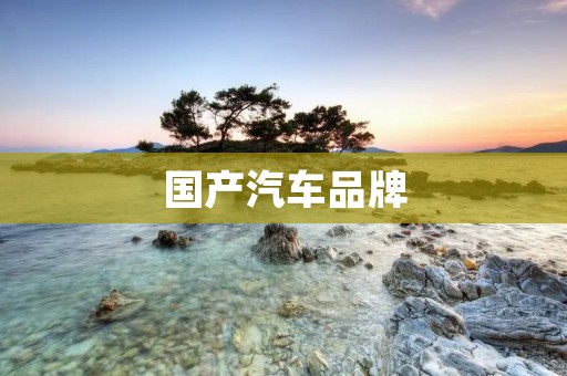 国产汽车品牌：挑战与机遇