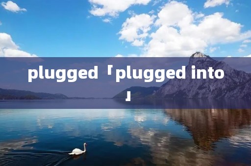 plugged「plugged into」 plugged「plugged into」