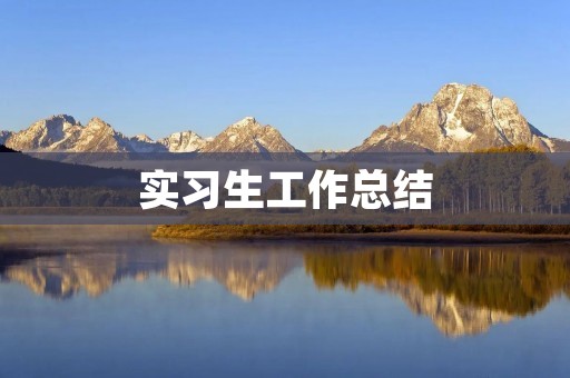 实习生工作总结