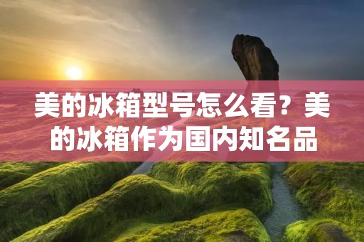 美的冰箱型号怎么看？美的冰箱作为国内知名品牌，其产品种类繁多，型号众多。在购买美的冰箱时，了解不同型号的特点和优劣，对于选择一款适合自己的冰箱至关重要。那么，美的冰箱型号怎么看呢？下面就为大家详细介绍。
