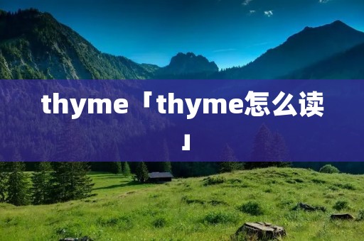 thyme「thyme怎么读」 thyme「thyme怎么读」