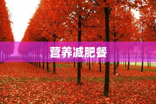 营养减肥餐：让减肥不再是痛苦之路