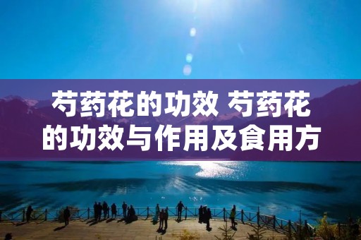 芍药花的功效 芍药花的功效与作用及食用方法