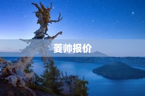 菱帅报价：实用性与性价比的完美结合