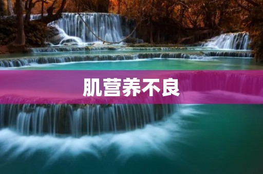 肌营养不良：原因、症状及治疗