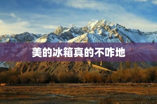 美的冰箱真的不咋地