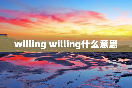 willing willing什么意思