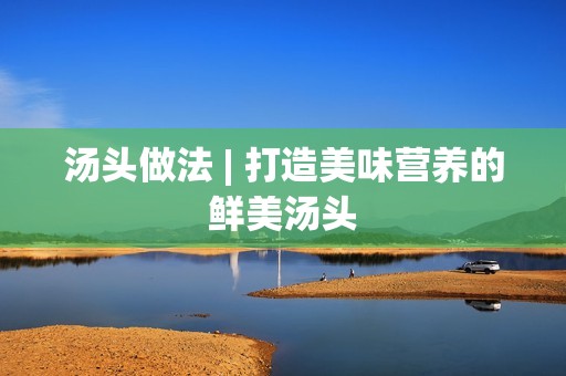 汤头做法 | 打造美味营养的鲜美汤头 汤头做法 | 打造美味营养的鲜美汤头
