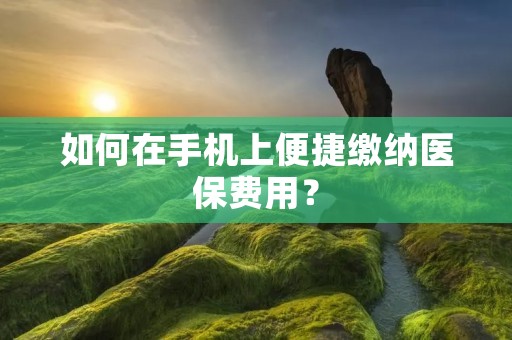 如何在手机上便捷缴纳医保费用?