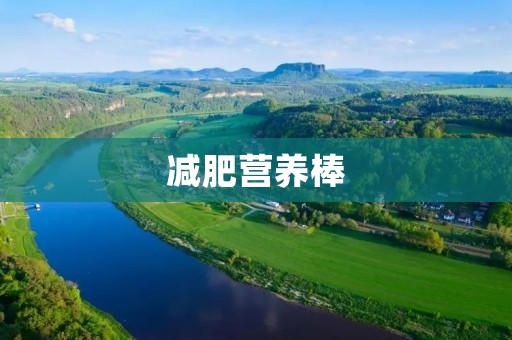 减肥营养棒：让健康减肥变得更简单