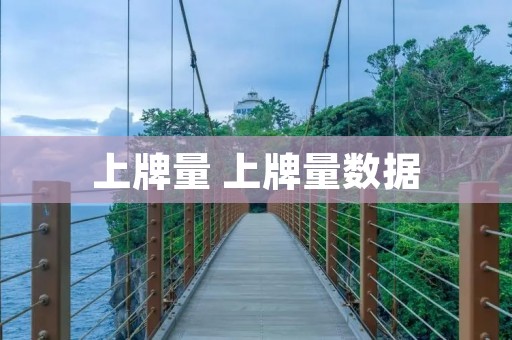 上牌量 上牌量数据