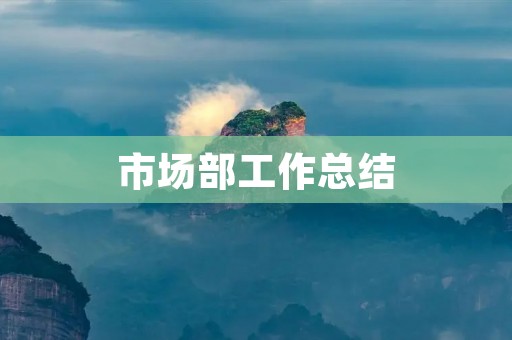 市场部工作总结:2021年度市场策划与执行回顾