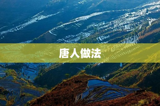 唐人做法:传承千年的中华饮食文化 唐人做法:传承千年的中华饮食文化