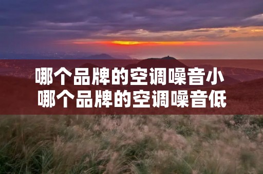 哪个品牌的空调噪音小 哪个品牌的空调噪音低