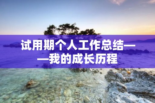 试用期个人工作总结——我的成长历程
