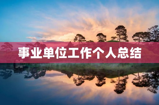 事业单位工作个人总结
