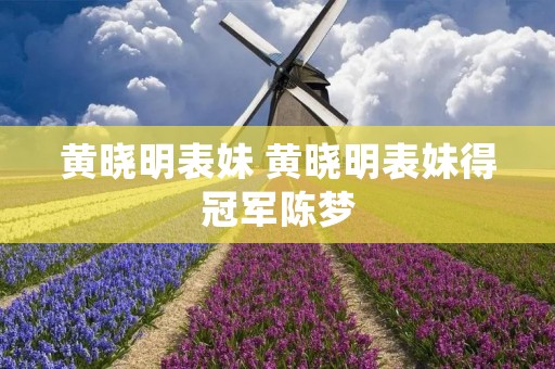 黄晓明表妹 黄晓明表妹得冠军陈梦