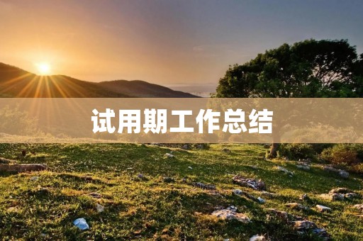 试用期工作总结:从新人到成才的历程