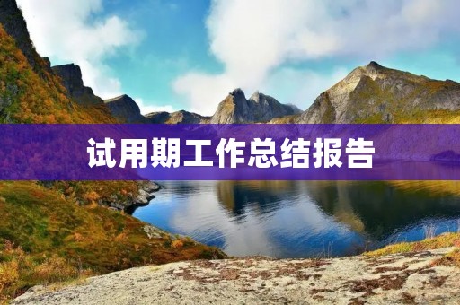 试用期工作总结报告
