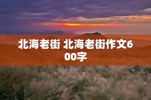 北海老街 北海老街作文600字