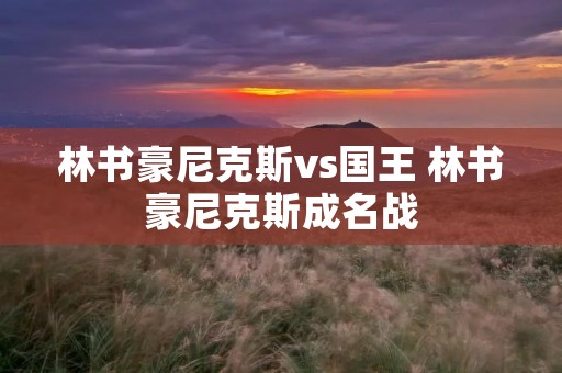 林书豪尼克斯vs国王 林书豪尼克斯成名战