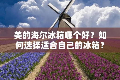 美的海尔冰箱哪个好？如何选择适合自己的冰箱？