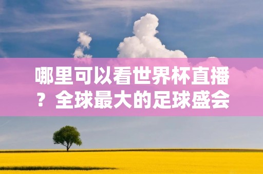哪里可以看世界杯直播?全球最大的足球盛会——世界杯,每四年一次,吸引了全球各地数以亿计的球迷翘首以盼。对于无法亲临现场的球迷来说,观看直播成为了最好的选择。那么,在哪里可以看到最全、最精彩的世界杯直播呢?下面,我们来一一介绍。