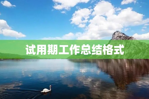 试用期工作总结格式