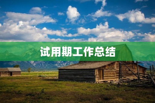 试用期工作总结:如何写一篇详细的报告