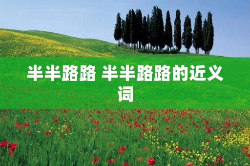 半半路路 半半路路的近义词